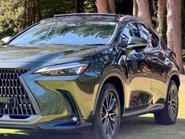 Lexus NX 350H 24