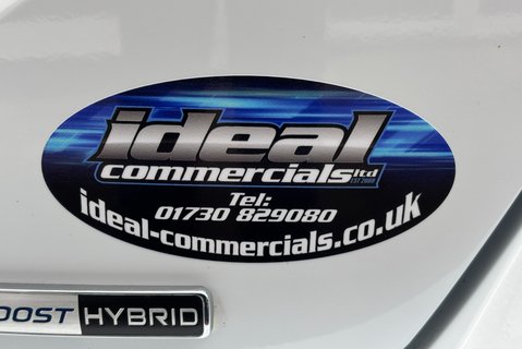 Ford Fiesta Sport 125 ps Mhev 13