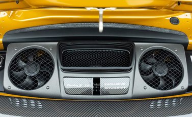 Porsche 911 Turbo S Exclusive Series (991) 60