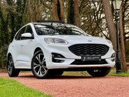 Ford Kuga ST-LINE X EDITION 11