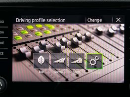 Skoda Karoq 1.5 Karoq Sportline TSi Semi-Auto 5dr 48