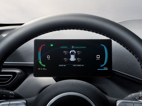 BYD DOLPHIN SURF 30kWh ACTIVE 1.9% APR 4