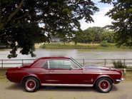 Ford Mustang 289 Hardtop Coupe 64