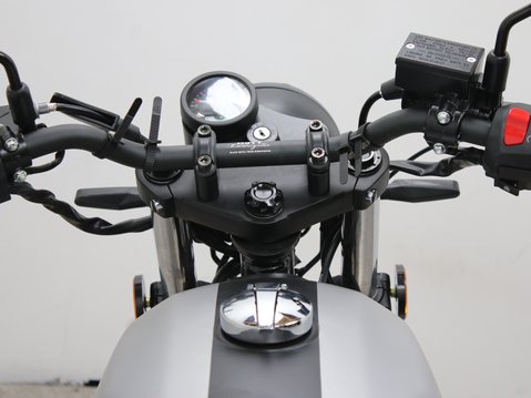 Mutt Akita 125 Pre-registered 28