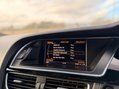 Audi A5 2.0 TDI Black Edition Sportback 5dr Diesel S Tronic quattro Euro 5 (s/s) (1 19