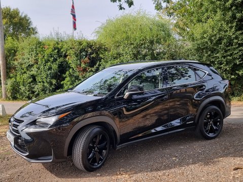 Lexus NX 300H SPORT 15