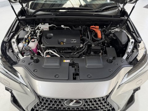 Lexus NX 450H PLUS TAKUMI 16