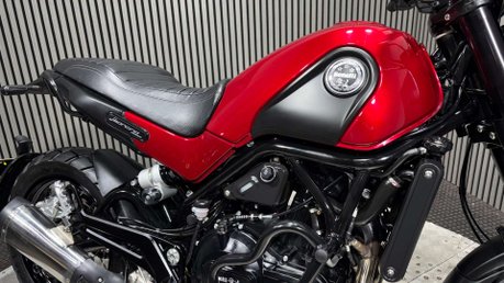 Benelli Leoncino 2019 ONLY 3K LONG MOT WARRANTY 47BHP A2 READY 500CC 13