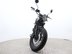 Mutt Akita 125 Pre-registered 10