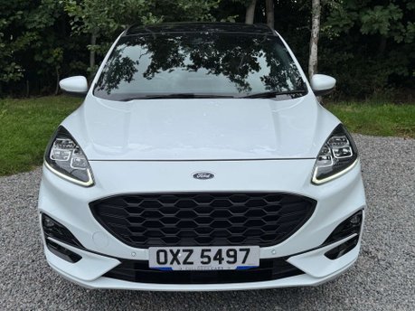 Ford Kuga 2.0 Kuga ST-Line X EcoBlue MHEV 5dr 13