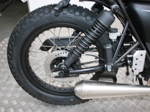 Mutt Mastiff 125 Pre-registered 13