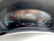 Ford Focus 1.5T EcoBoost ST-Line X Hatchback 5dr Petrol Auto Euro 6 (s/s) (182 ps) 14