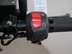 Mutt Akita 125 Pre-registered 17