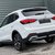 MG ZS 1.5 HYBRID+ TROPHY 14