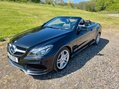 Mercedes-Benz E Class E220 BLUETEC AMG LINE 8