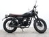 Mutt Mongrel 125 Pre-registered 33