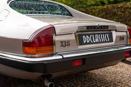Jaguar XJS 3.6 19