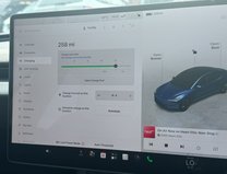 Tesla Model 3 (Dual Motor) Long Range Saloon 4dr Electric Auto 4WDE (306 ps) 17