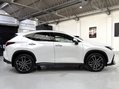 Lexus NX 450H PLUS TAKUMI Pan Roof + Mark Levinson Sound 4