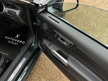 Ford Mustang BULLITT 79