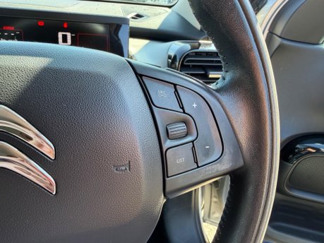 Citroen C4 Cactus PURETECH FLAIR 14