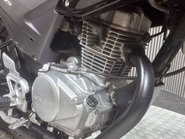 Honda CBF125 CBF125 2012 ONLY 6K MOT SERVICED ICONIC LEARNER BIKE 125CC 36