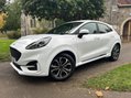 Ford Puma ST-LINE MHEV 15