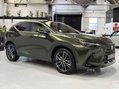 Lexus NX 450H PLUS TAKUMI 6
