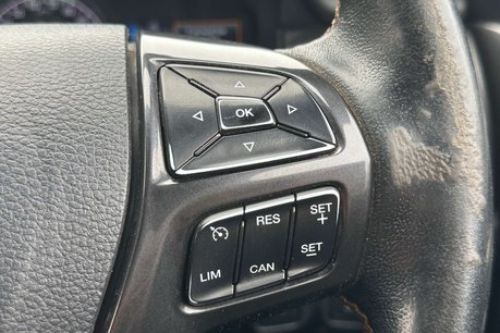 Ford Ranger 2.0 EcoBlue Wildtrak Pickup Double Cab 4dr Diesel Auto 4WD Euro 6 (s/s) (21 28