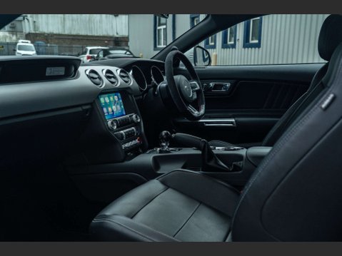 Ford Mustang 5.0 Mustang GT 2dr 9
