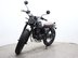 Mutt Mastiff 125 Pre-registered 8