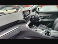 Peugeot 3008 PURETECH S/S ALLURE PREMIUM 13