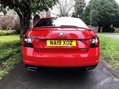Skoda Octavia VRS TDI DSG 22