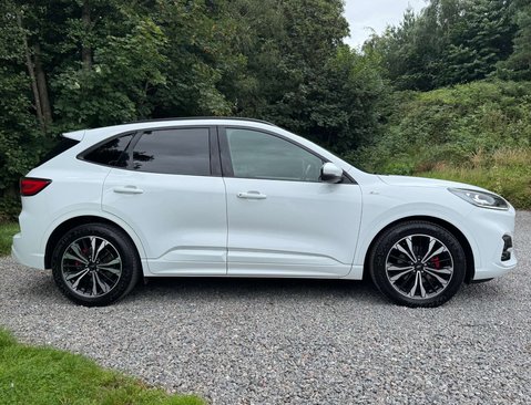 Ford Kuga 2.0 Kuga ST-Line X EcoBlue MHEV 5dr 4