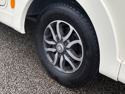 Florium Black Pearl 75LMF 12