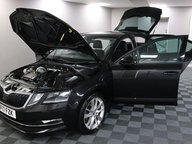 Skoda Octavia SE L TSI DSG 16