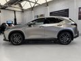 Lexus NX 450H PLUS TAKUMI 10