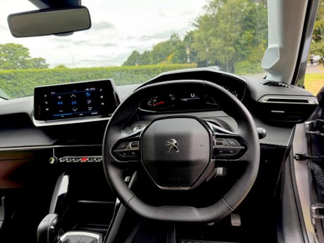 Peugeot 208 PURETECH ACTIVE PREMIUM PLUS S/S 19