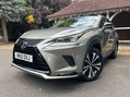 Lexus NX 300H 17