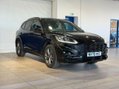 Ford Kuga 2.0 EcoBlue MHEV ST-Line SUV 5dr Diesel Manual Euro 6 (s/s) (150 ps) 1