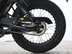 Mutt Akita 125 Pre-registered 17