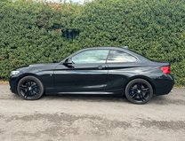 BMW 2 Series 2.0 230i GPF M Sport Coupe 2dr Petrol Auto Euro 6 (s/s) (252 ps) 33
