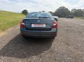 Skoda Octavia SE TECHNOLOGY TSI 7