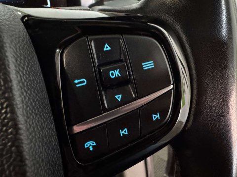 Ford Transit Custom 2.0 Transit Custom 300 Limited EcoBlue 13
