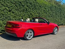 BMW 2 Series 2.0 220d M Sport Convertible 2dr Diesel Auto Euro 6 (s/s) (190 ps) 25