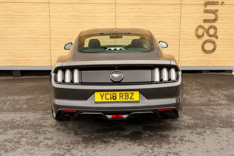 Ford Mustang ECOBOOST 6
