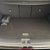 Kia Sportage 1.6T GDi 207 HEV GT-Line S 13