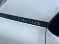 Citroen C4 Cactus 1.2 PureTech GPF Flair Euro 6 (s/s) 5dr 18