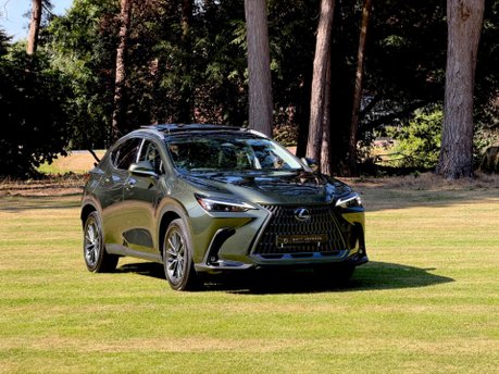Lexus NX 350H 21
