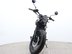 Mutt Mongrel 125 Pre-registered 14